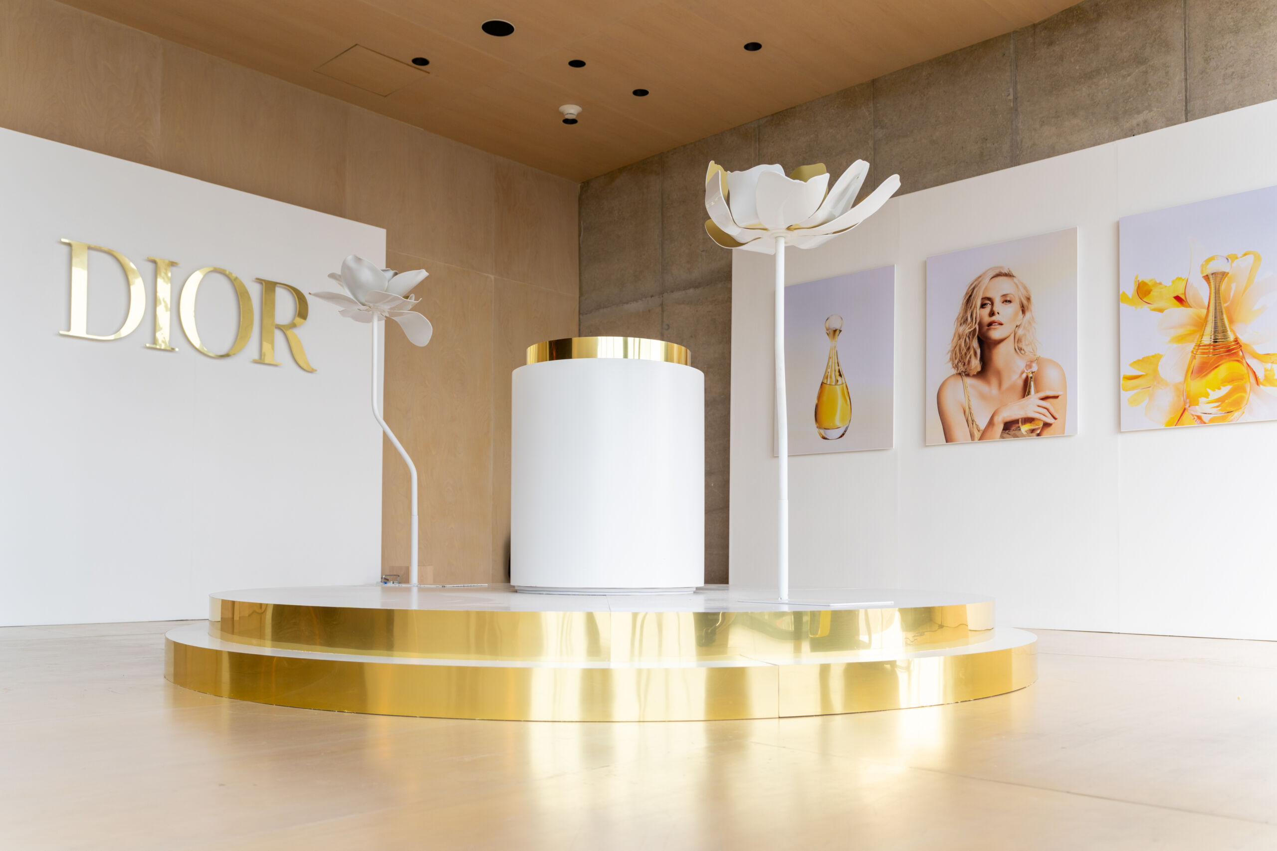 Jadore-659 Jadore-659